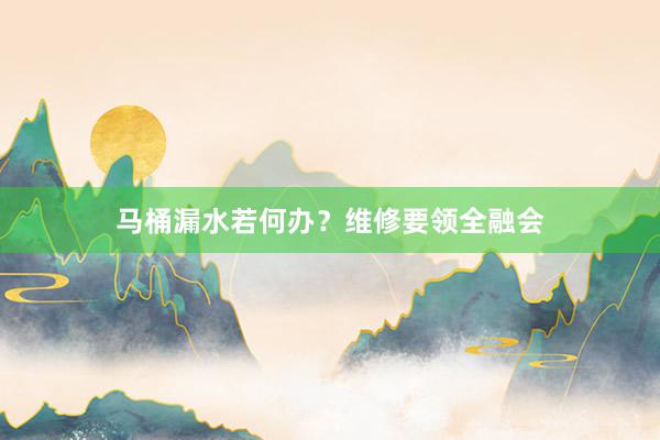 马桶漏水若何办？维修要领全融会